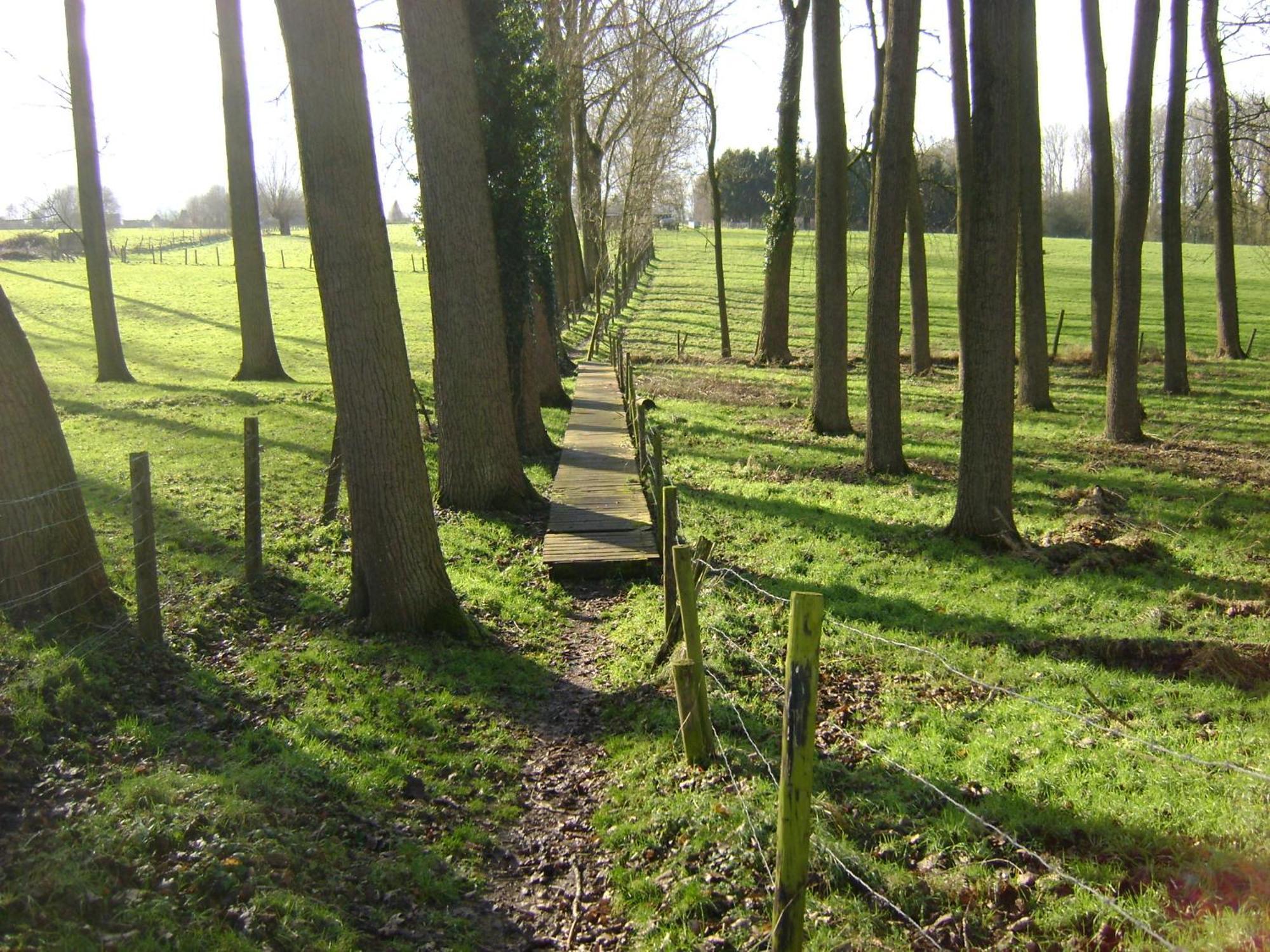 Gite Les Mineurs Zottegem Exterior foto