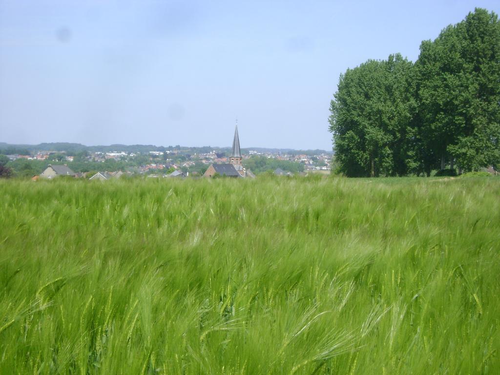 Gite Les Mineurs Zottegem Exterior foto