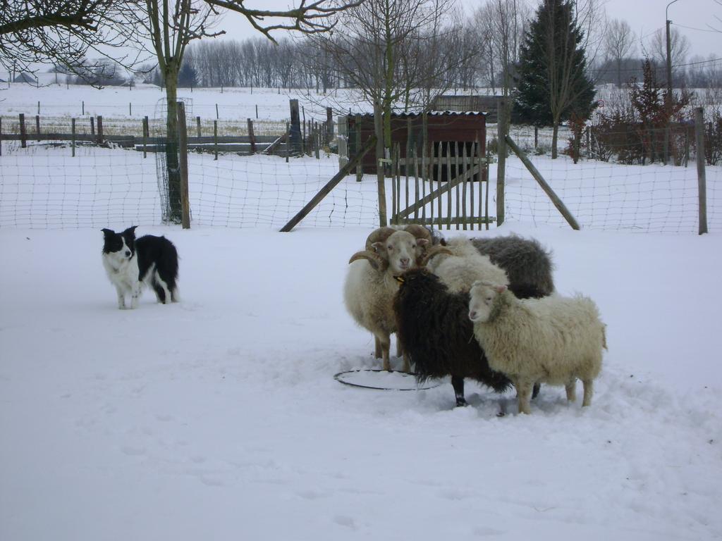 Gite Les Mineurs Zottegem Exterior foto