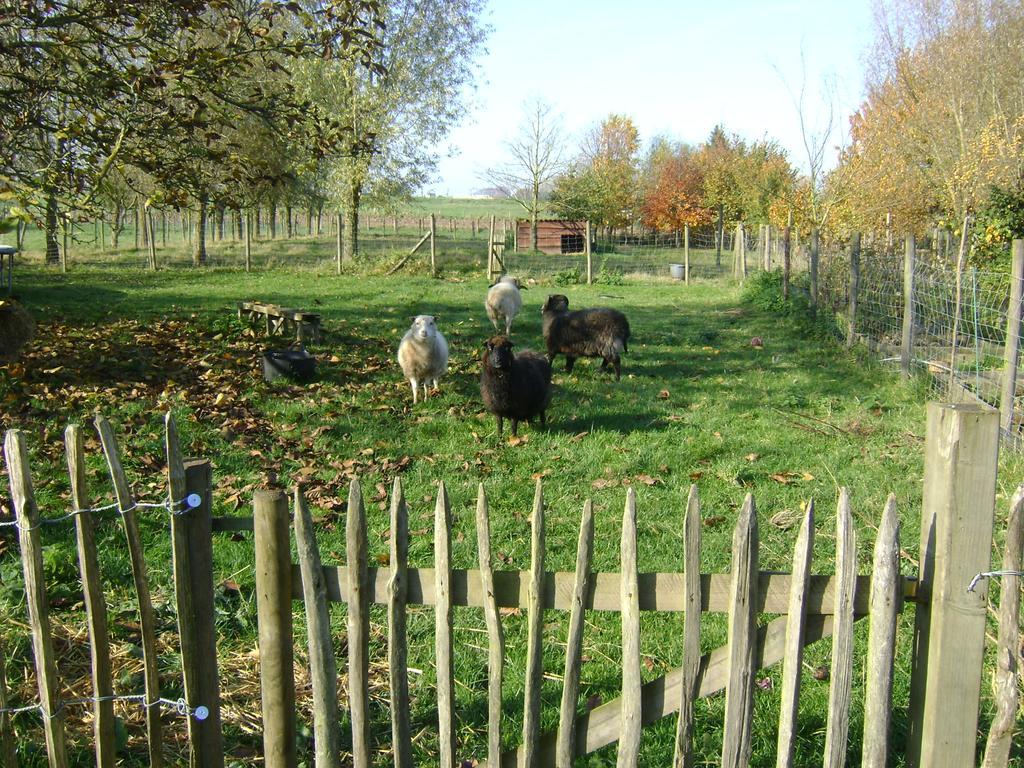 Gite Les Mineurs Zottegem Exterior foto